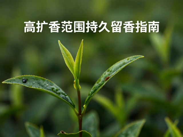 天然植物香材的甄选与物理特性利用