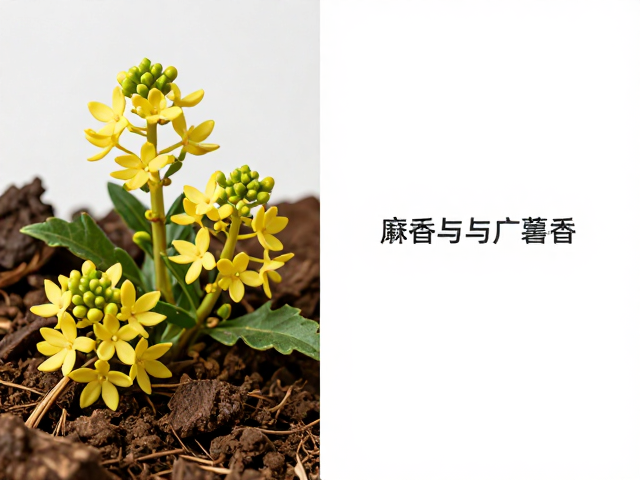广藿香的骨架作用:从泥土气息到木质底蕴