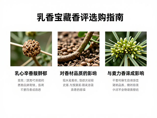 核心产区差异对香材品质的影响