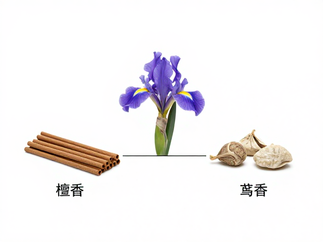 名贵香材的嗅觉交响:檀、麝、鸢尾的三角平衡