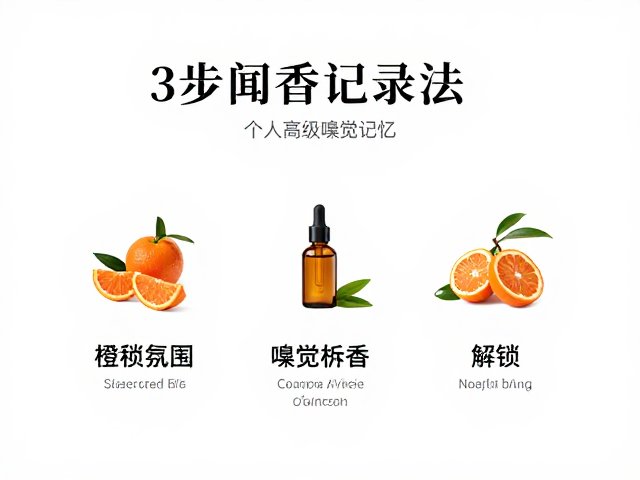 建立个人嗅觉坐标系