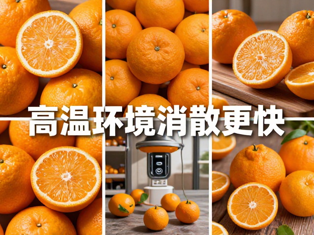 不同存储场景下的温度控制策略