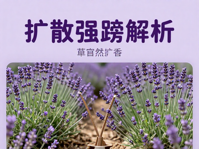 使用时机与感官体验的匹配逻辑