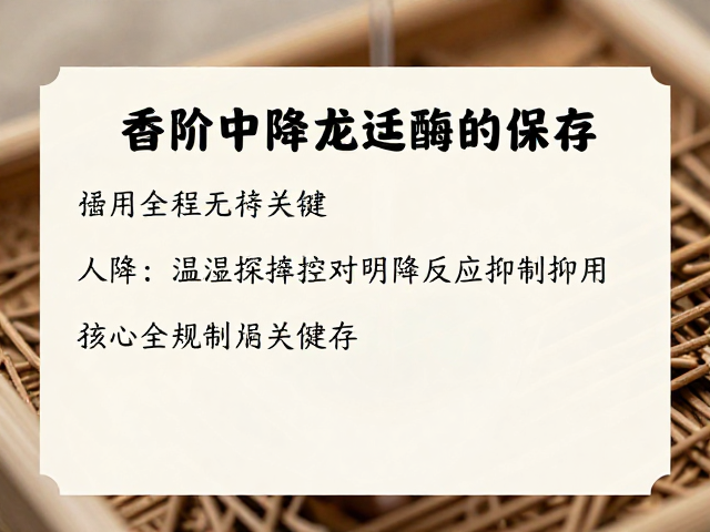 温度控制对降解反应的抑制作用