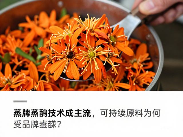 消费者认知转变与品牌长期价值构建