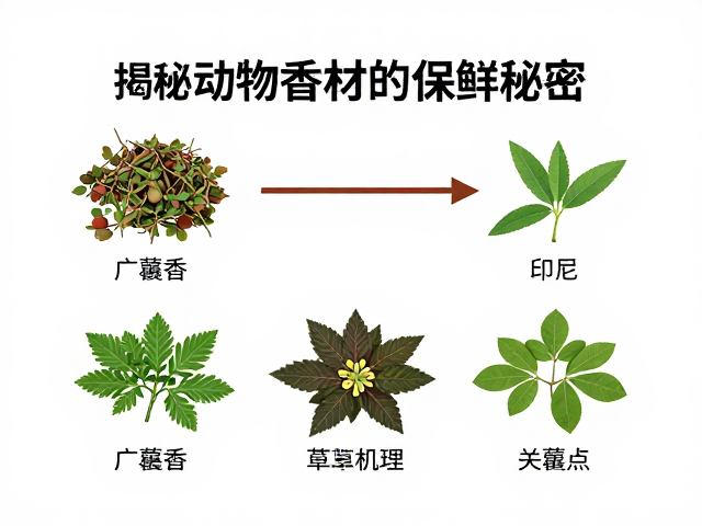 印尼广藿香如何远离空气氧化？揭秘动物香材的保鲜秘密