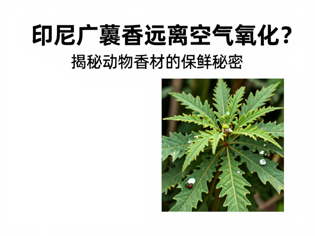 环境参数调控与储存场景优化