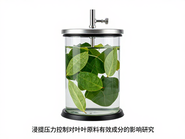 工艺参数耦合对提取效率与能耗的综合评估