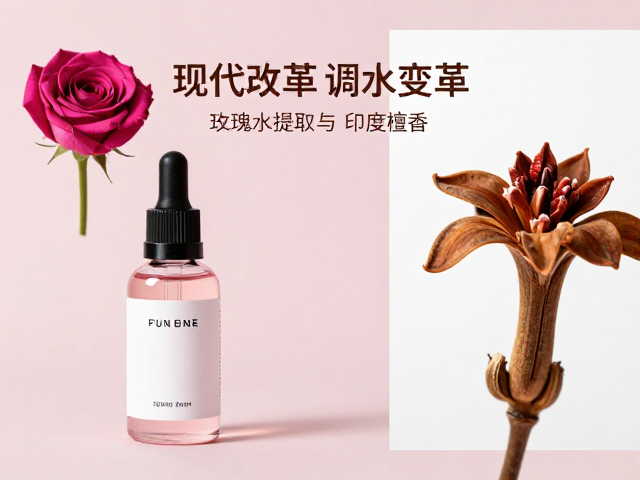 感官体验的当代审美表达