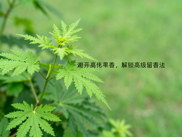 避开过量使用的嗅觉疲劳误区