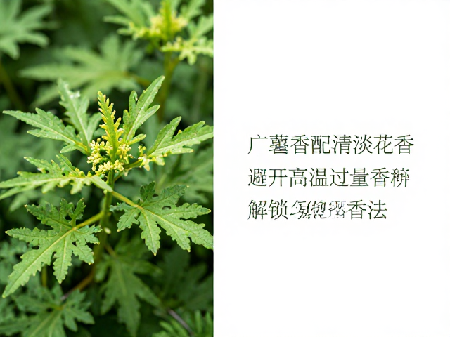 高温环境对香氛挥发与留香的干扰机制