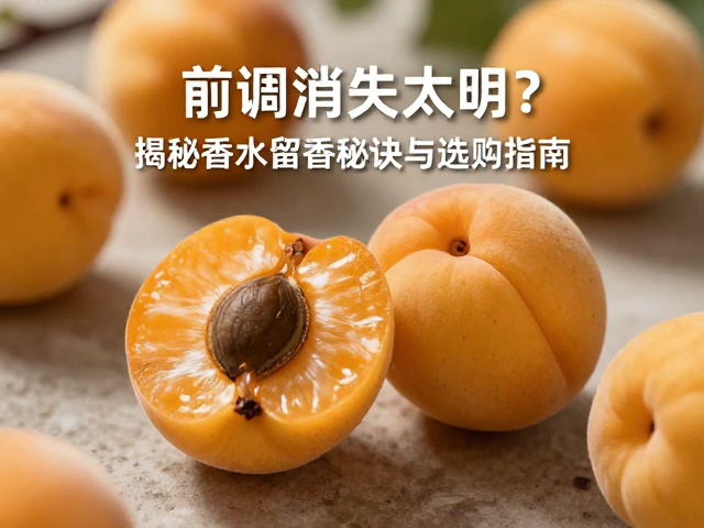 前调消散的科学逻辑与嗅觉感知