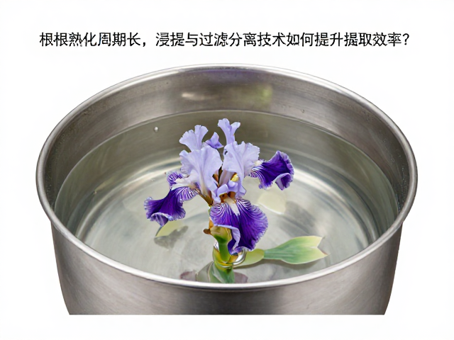 浸提技术对传质效率的强化机制