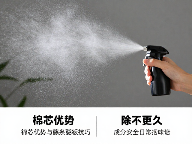 成分安全与日常维护要点