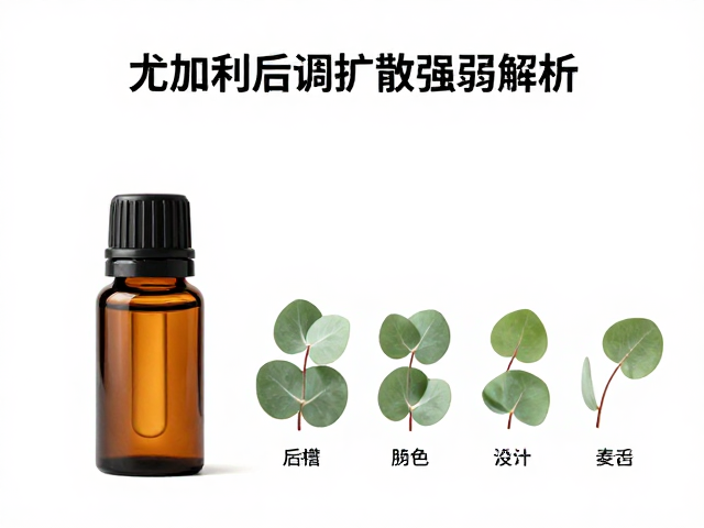 尤加利精油后调扩散强弱解析,香气持久度与扩香技巧指南