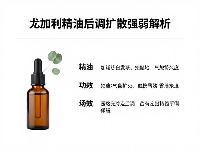 场景适配与感官平衡策略