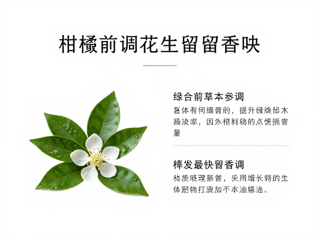 提升留香时长的物理与化学策略