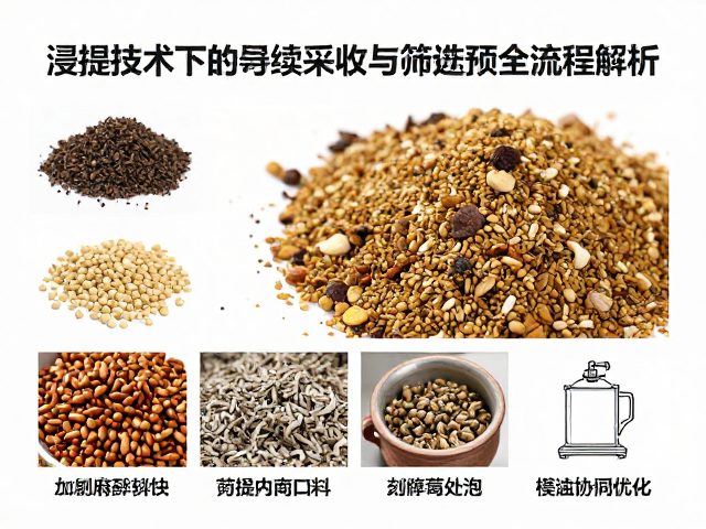 预处理工艺对浸提效率与产物纯度的协同优化