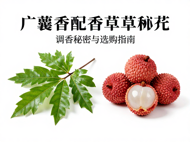爆款香氛的嗅觉构建与成分解析