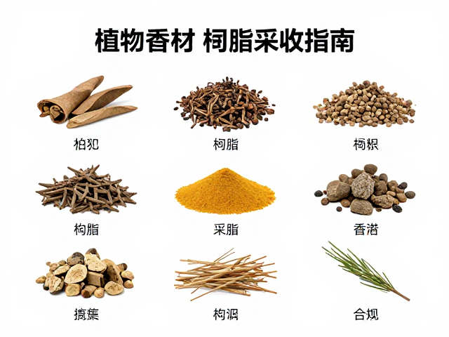 植物香材的识别与采收时机