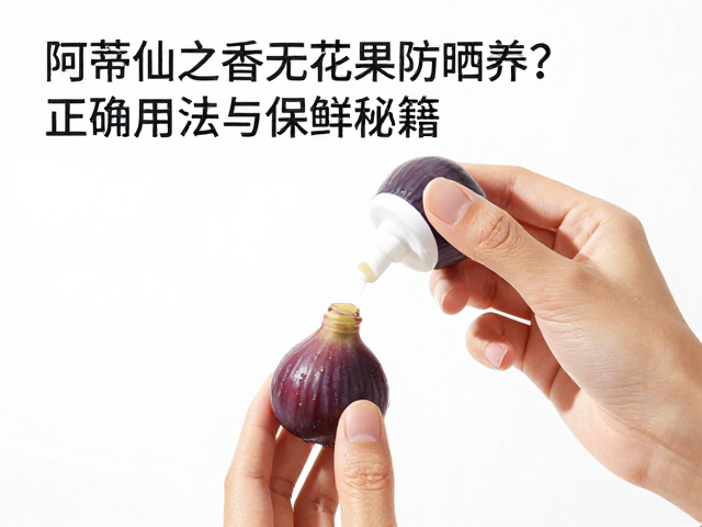 日常使用中的保鲜与取用细节