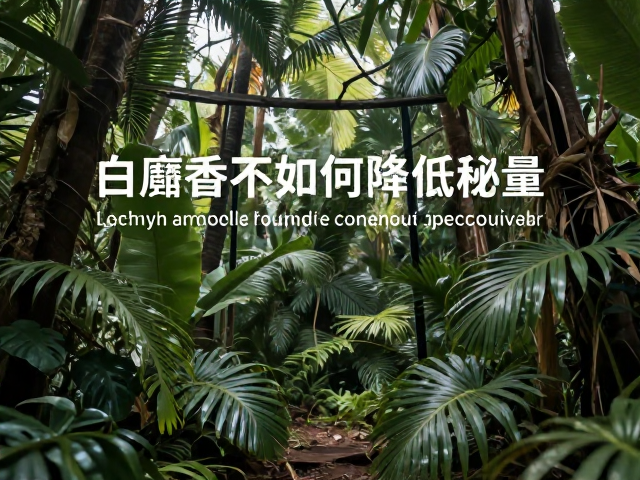 热带气候下的留香持久性策略