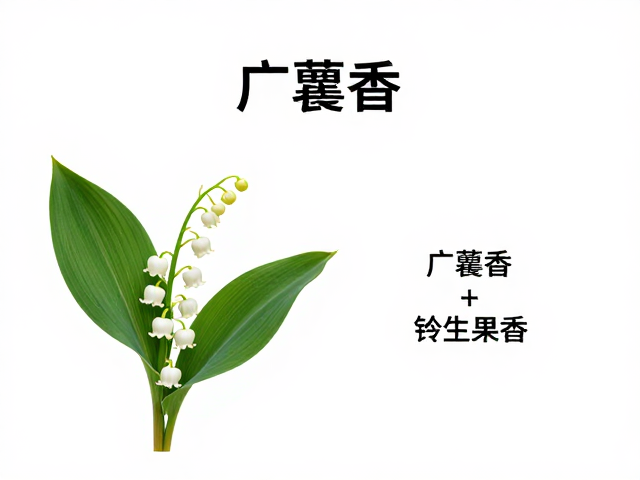 辨别香水层次的核心在于嗅觉的动态追踪