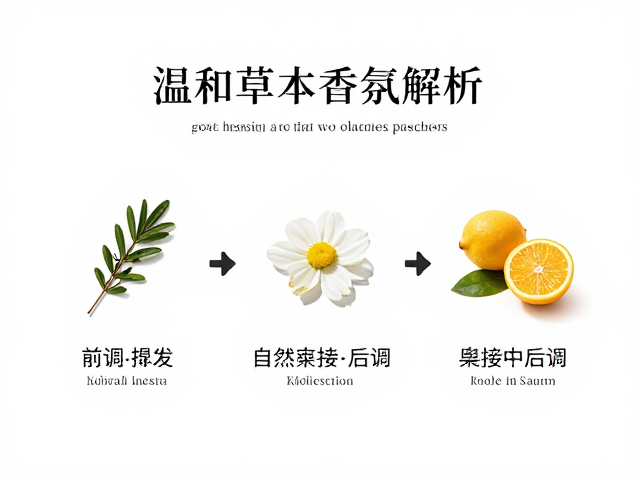 前调的瞬时美学与嗅觉过渡机制