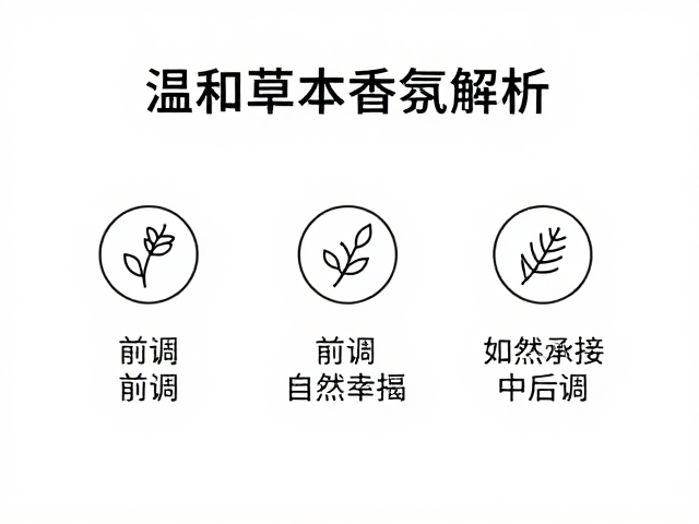 中调的核心叙事与草本底蕴