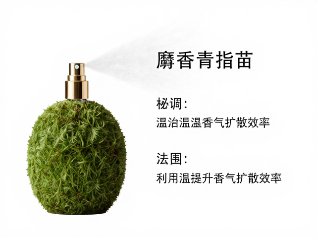 麝香青苔香水喷洒部位指南,成熟香水爱好者的专属留香秘诀
