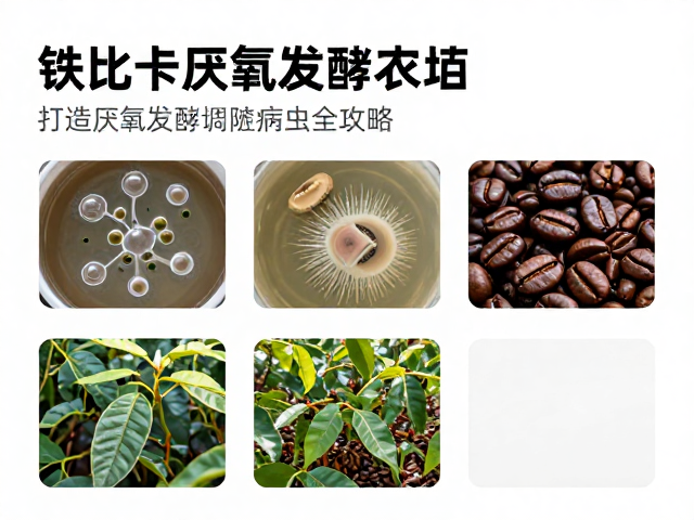 厌氧发酵过程中的微生物调控与风险规避