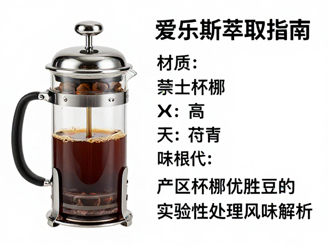 实验性处理豆的风味特征与萃取难点