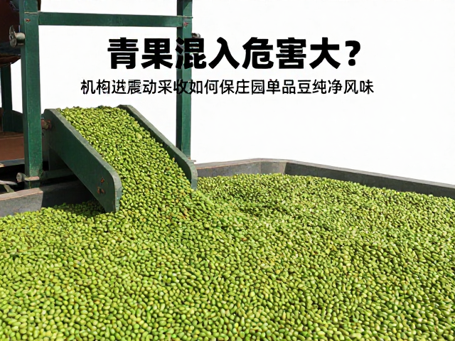 青果混入对庄园单品豆风味的潜在干扰