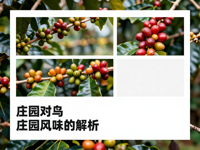知名庄园风味的解析与市场定位