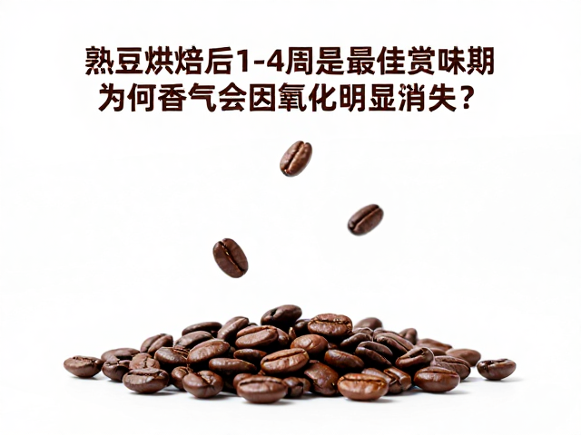 物理结构与气体交换的动态平衡