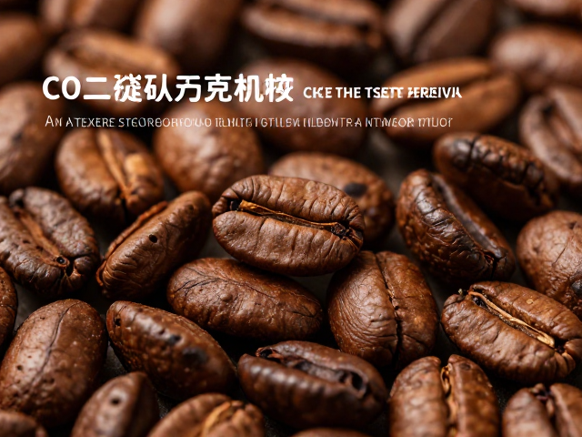 二氧化碳浸渍对熟豆香气特征的影响机制