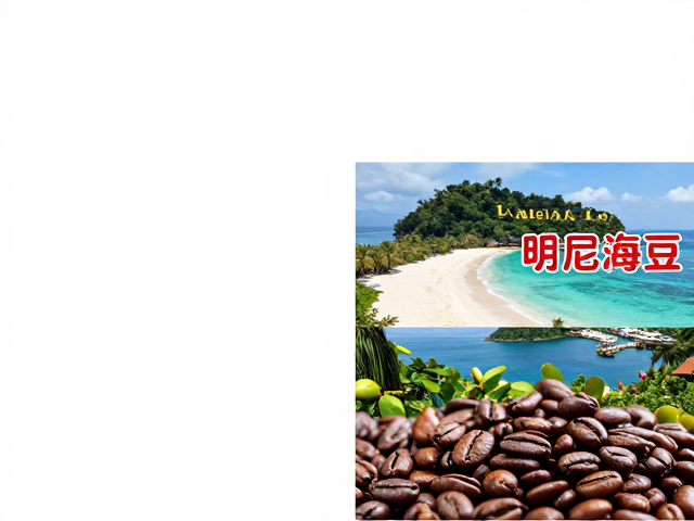 产地差异与烘焙工艺的匹配逻辑