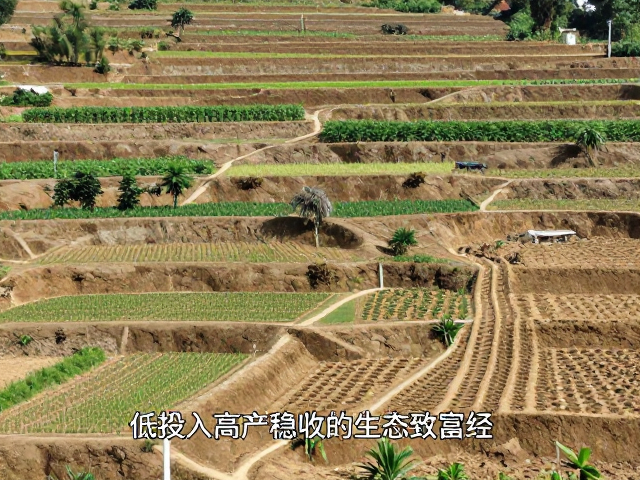 等高线种植对水土保持与土壤改良的作用