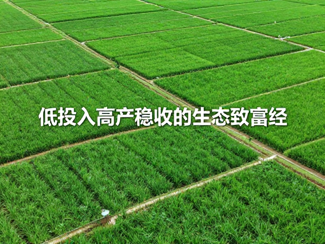 生态效益与经济效益的协同增长路径