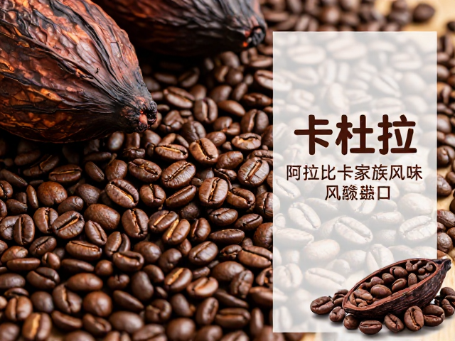 巴西卡杜拉咖啡豆,探索纯正坚果可可风味的单品盛宴