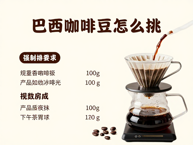 场景搭配与冲泡参数优化