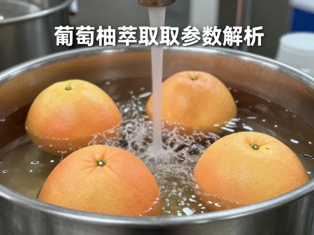 葡萄柚萃取工艺的核心变量分析