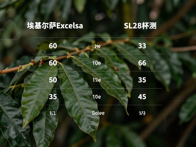 产地环境与品种特性影响