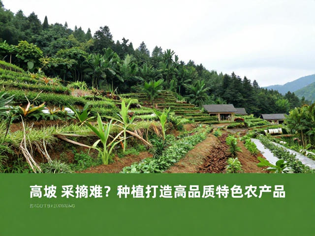生态效益与产业可持续发展的长期考量