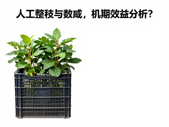 数据验证与长期效益分析