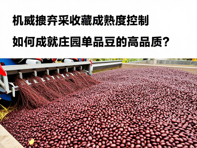 机械采收对风味物质的保留机制