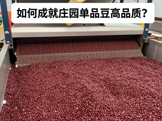 成熟度控制的标准化执行流程