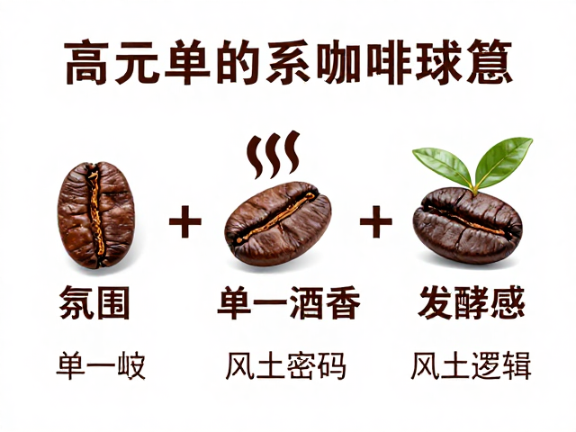 单一地块的风土密码与发酵逻辑