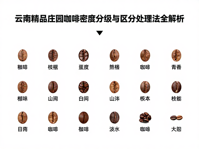 数据验证与品质溯源体系