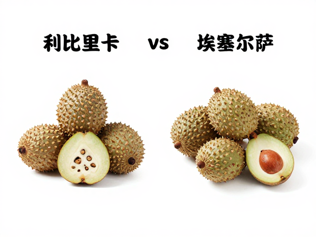 市场流通与消费场景分析